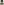         Prorsum Khaki Cotton Harrington Jacket