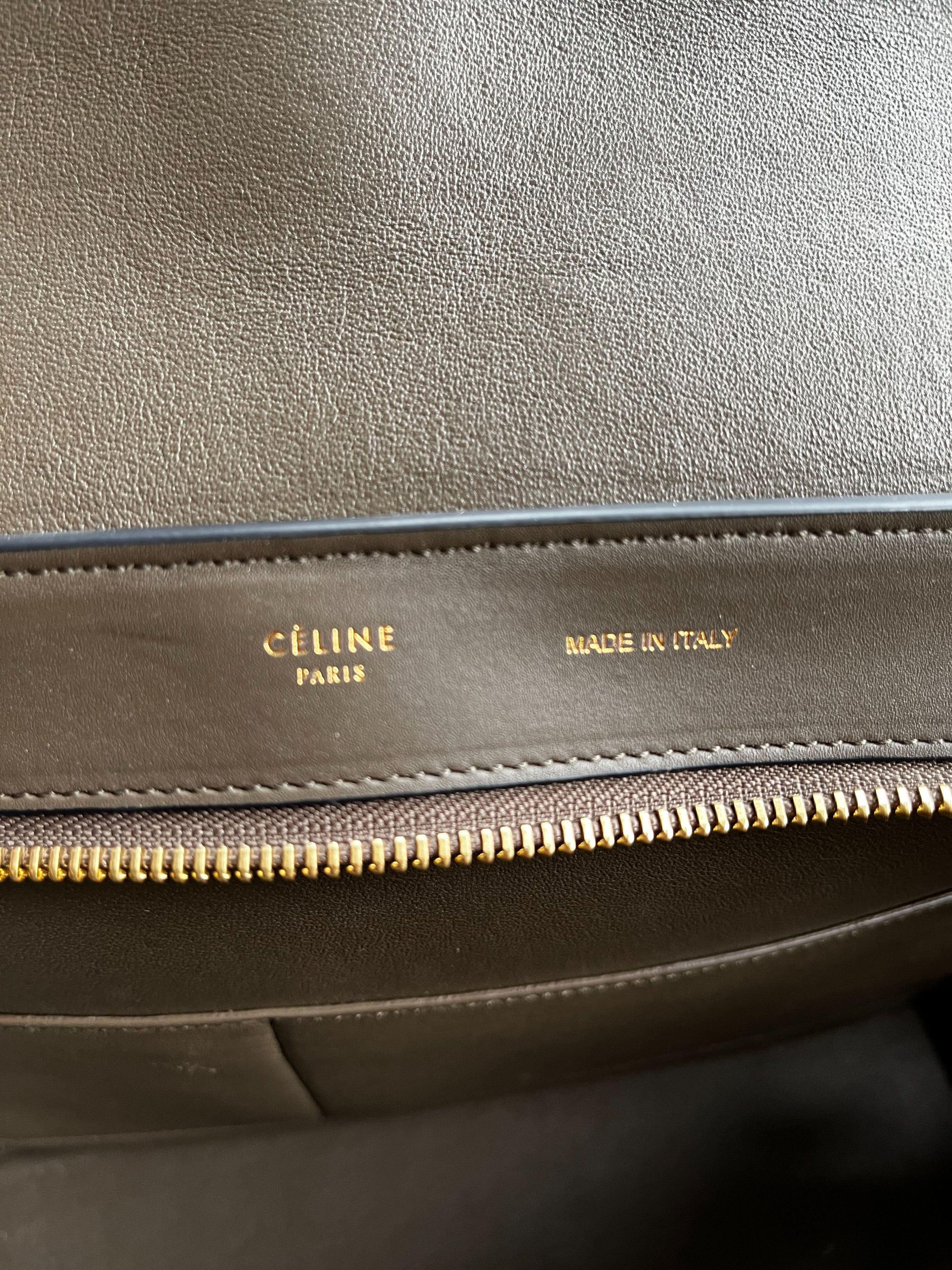Beige Crocodile Embossed Trapeze Bag