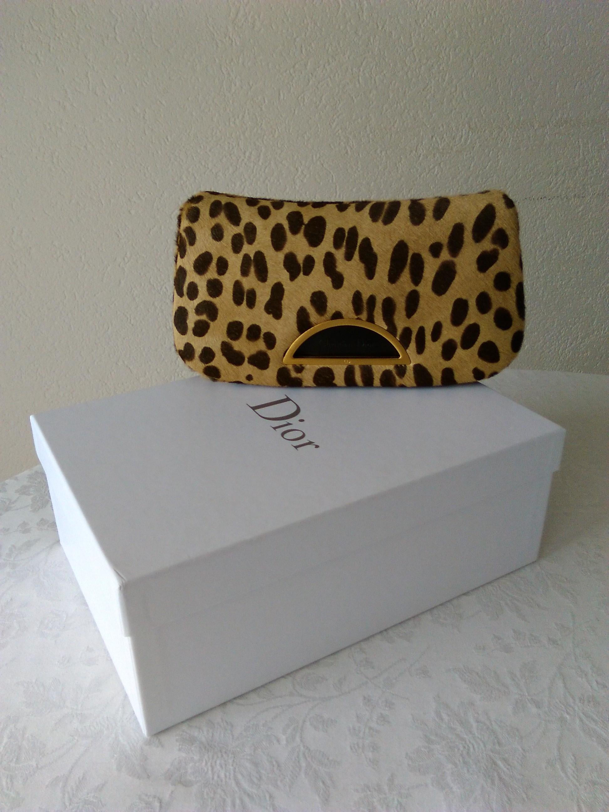 DIOR Pony Hair Clutch