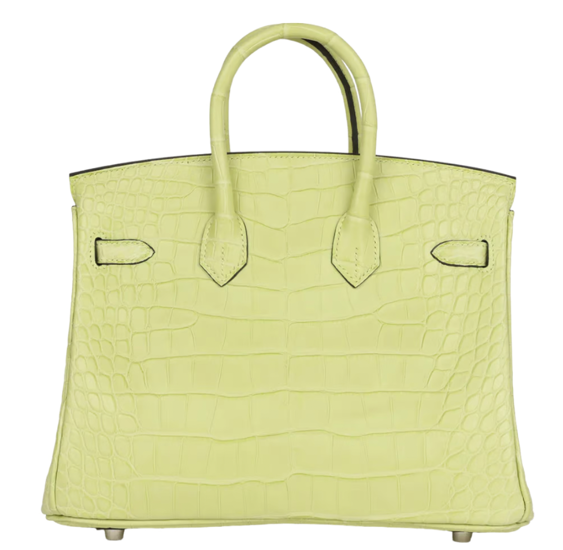 Jaune Bourgeon Birkin 25 cm in Mississippiensis Alligator Matte with Palladium Hardware