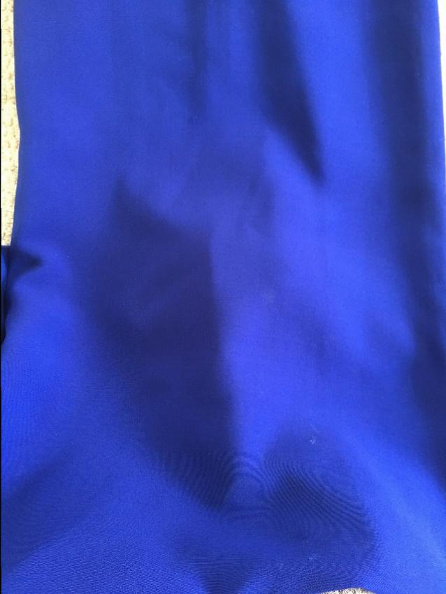 Victoria Beckham Blue Sleeveless Gown