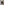         40131I Black Sunglasses