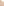         Herve Leger Beige Velvet Bandage Midi Dress