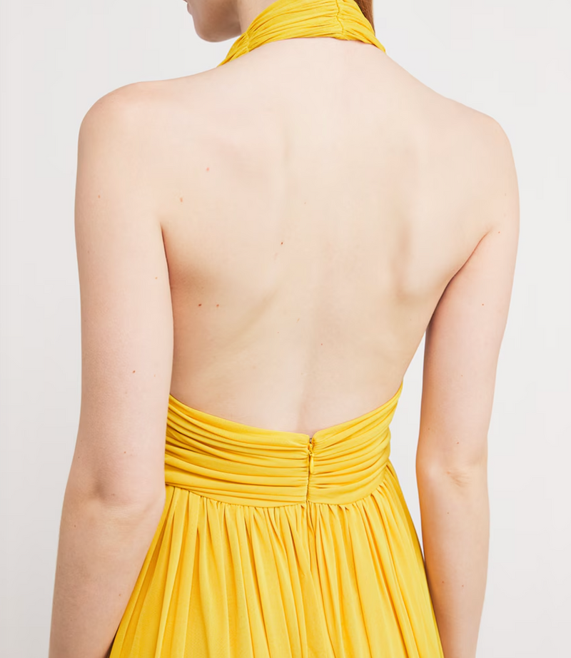 Giambattista Valli Tulle Halterneck Maxi Dres