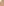         Aya Muse Beige Ribbed Tank Top