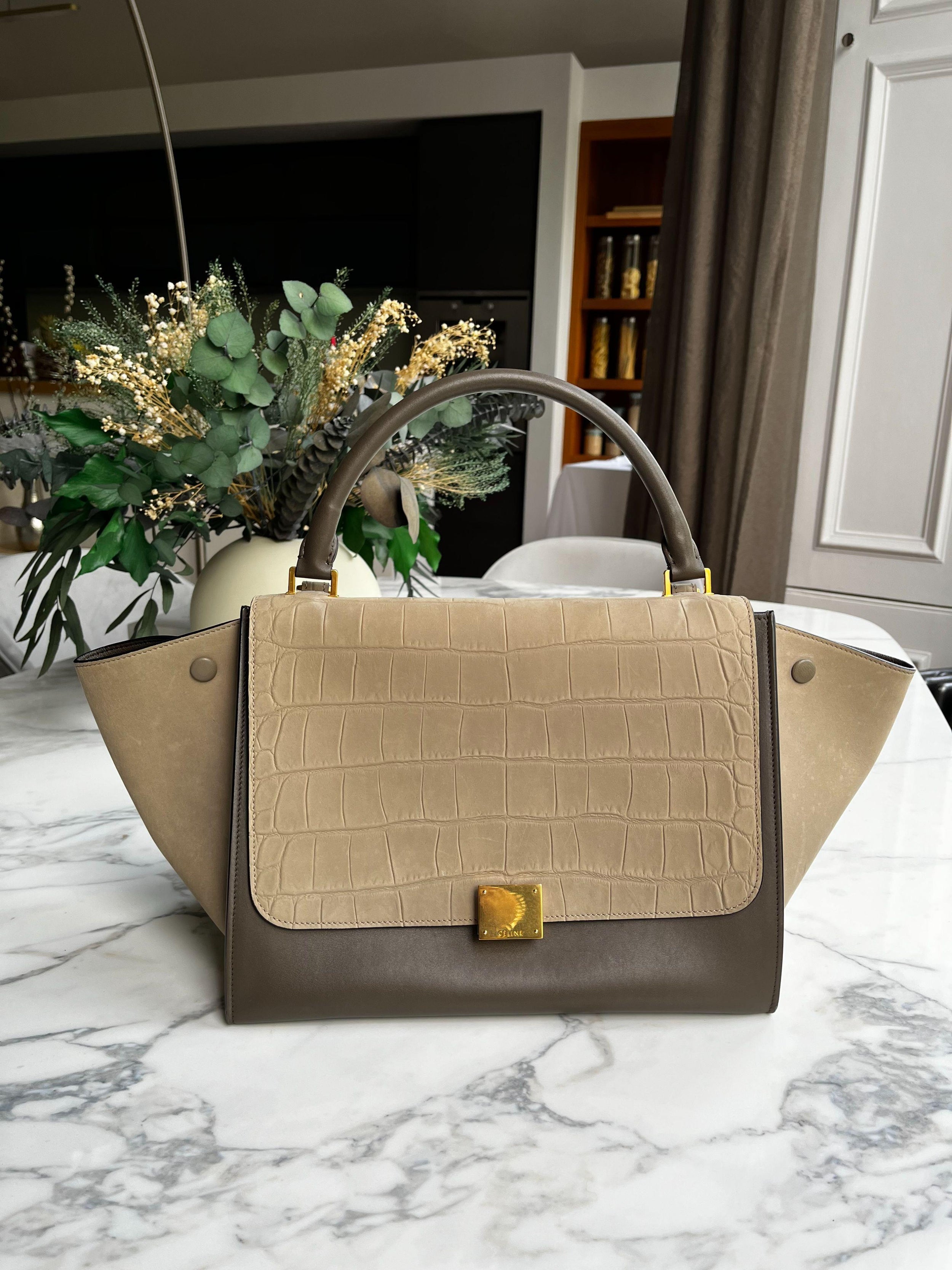 Beige Crocodile Embossed Trapeze Bag