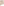         Caes Beige Midi Skirt