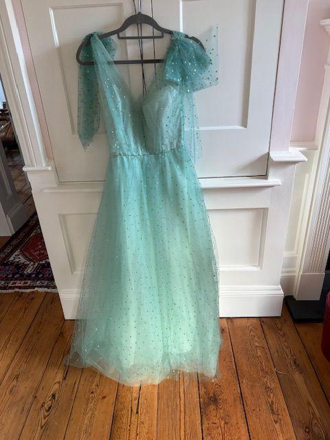 Monique L'Huillier Embellished Green Tulle Dress