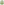         Zimmermann Green Golden Plisse Mini Dress