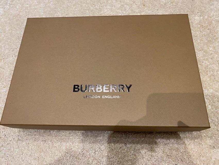 Burberry Archive Beige Cashmere Fringed Scarf