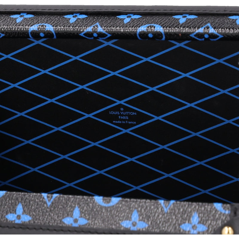Louis Vuitton  Petite Malle bag