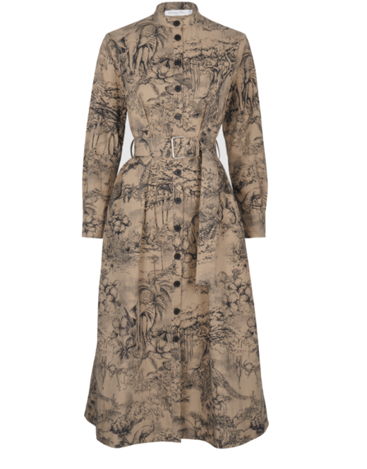 Christian Dior Toile de Jouy Belted Dress