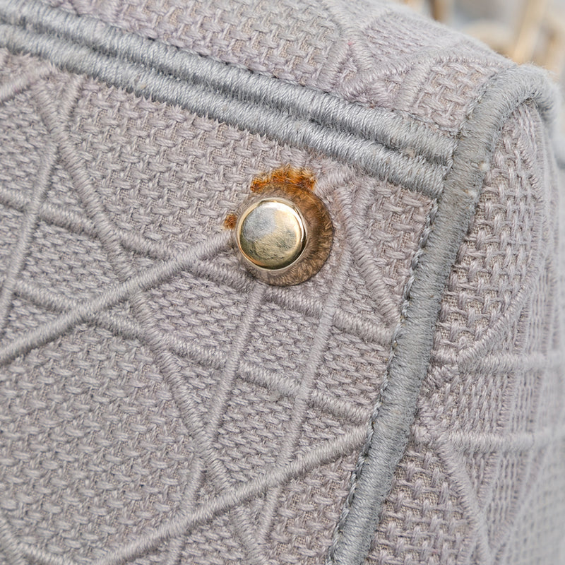 Medium Canvas Cannage Lady D Lite - Image 9