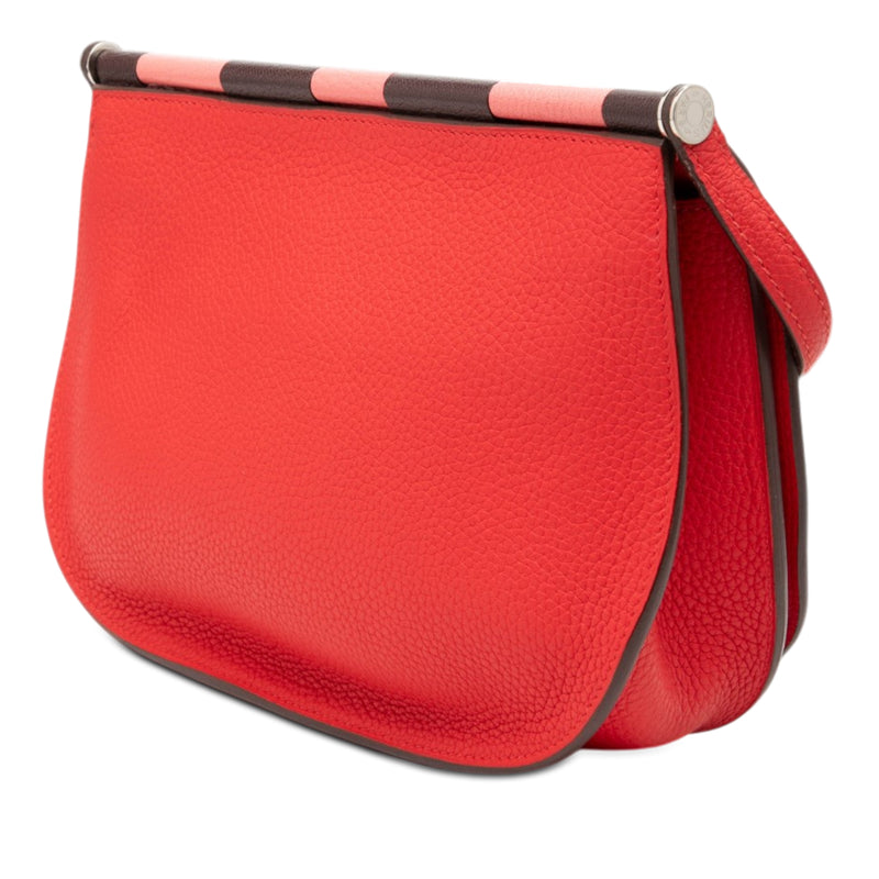 Taurillon Clemence Mysore Saut 25 - Image 2