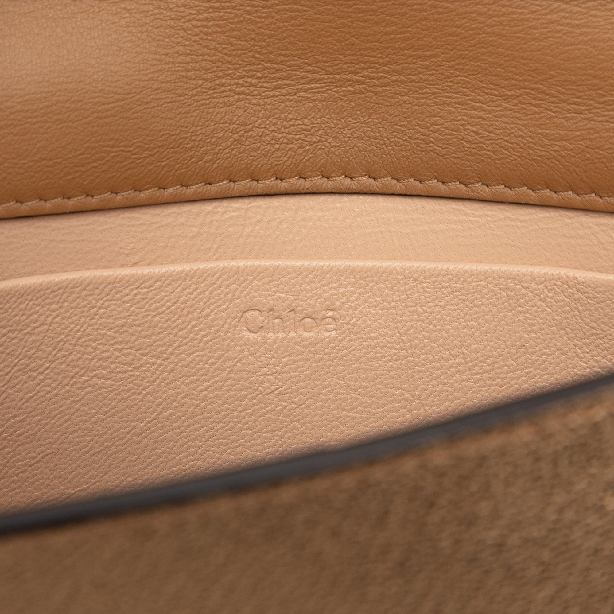 Metallic Leather Nile Bracelet Minaudiere Bag - Image 5