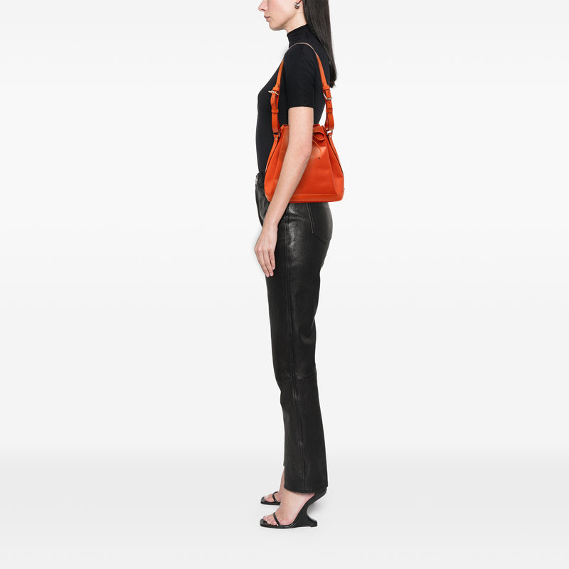 Epi Petit Noe - Image 7