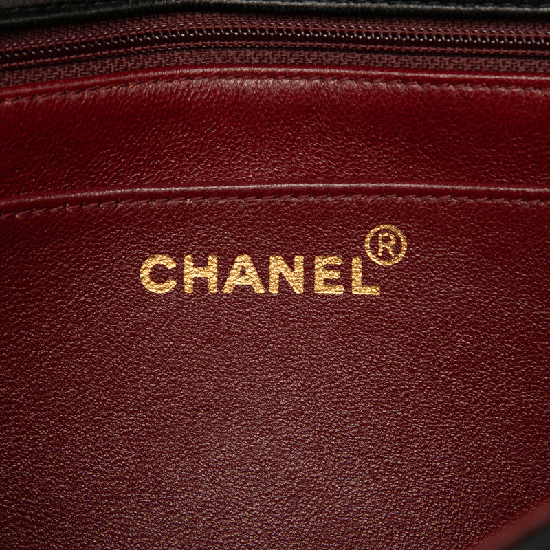 Medium Lambskin Diana Flap - Image 5