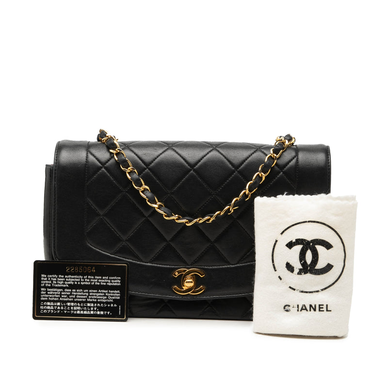 Medium Lambskin Diana Flap - Image 7