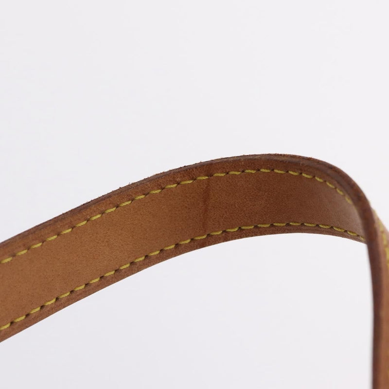 Louis Vuitton Sac Souple Monogram Canvas Brown Bag