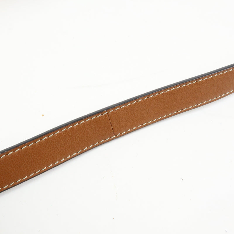 Celine Round Purse On Strap Triomphe Coated Canvas Brown Bag