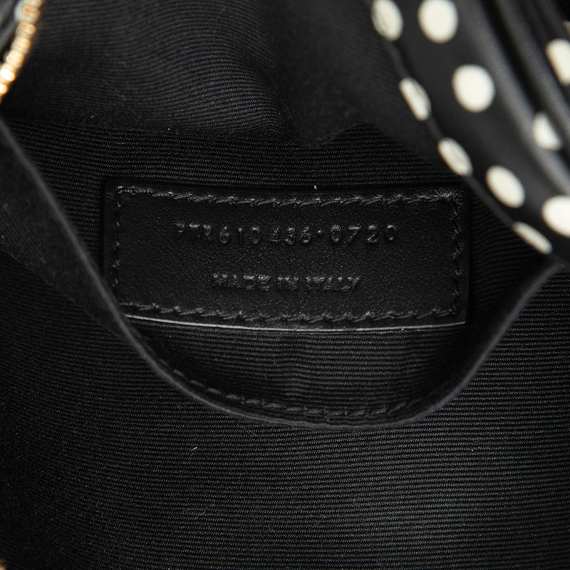 Chevron Calfskin Polka Dot Round Vinyle Camera Bag - Image 6