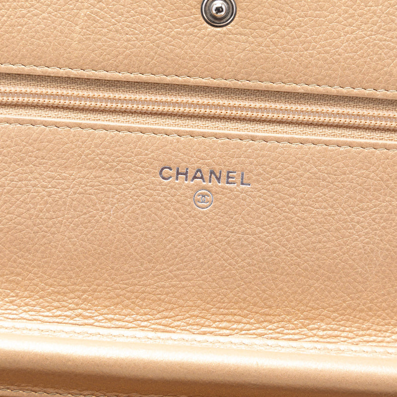 Quilted Aged Calfskin Reissue 2.55 Lucky Charms Wallet On Chain - Image 5