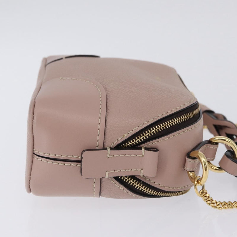 Chloe Daria Chain Leather Pink Bag