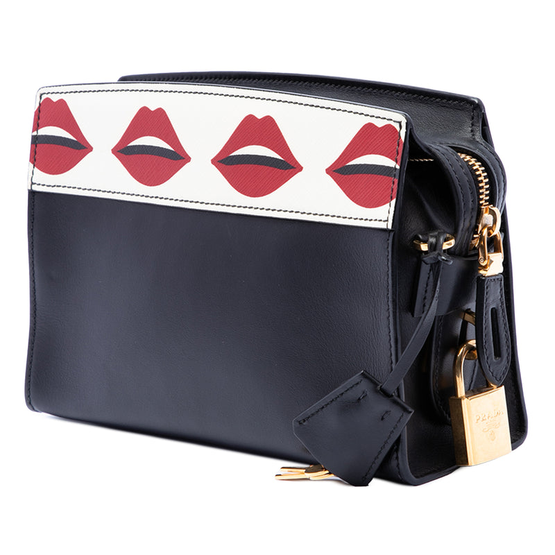 City Calf and Saffiano Lip Print Esplanade Crossbody - Image 2