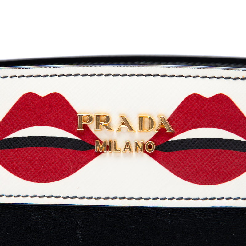 City Calf and Saffiano Lip Print Esplanade Crossbody - Image 5