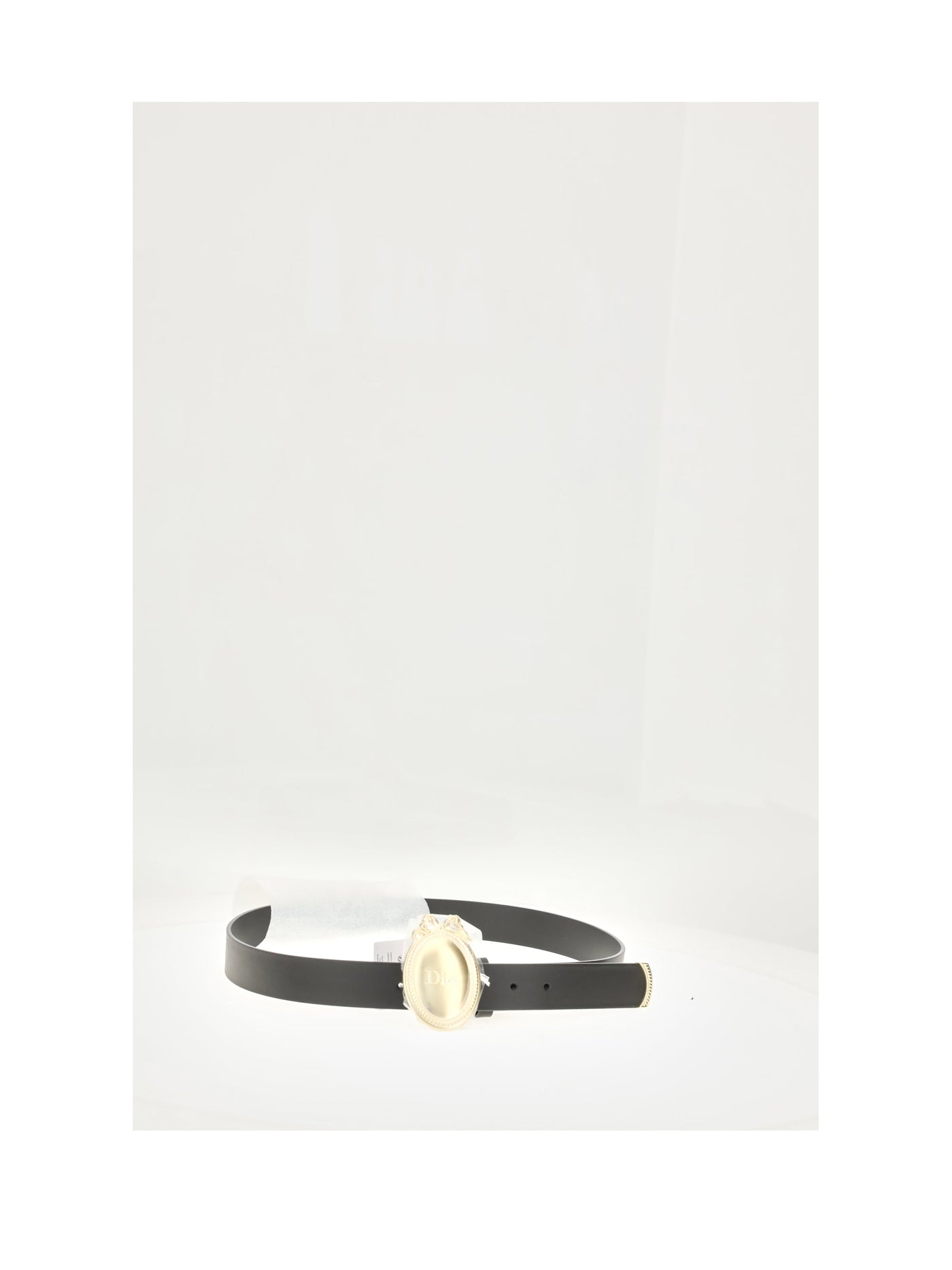 Dior Madallion Belt — Gold Calf Leather
