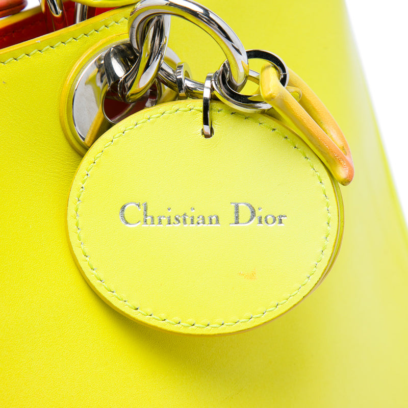 Medium Gradient Calfskin Diorissimo Satchel - Image 5