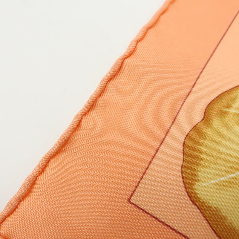 Hermes Carré 45 Les Capucines Silk Multicolour Accessory