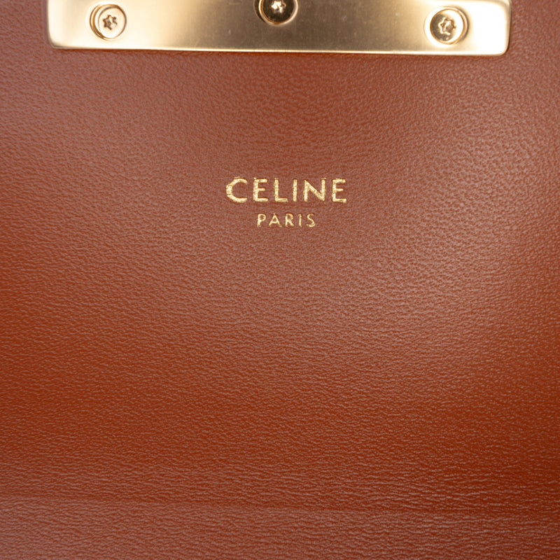 Teen Triomphe Coated Canvas and Calfskin Triomphe Crossbody - Image 5