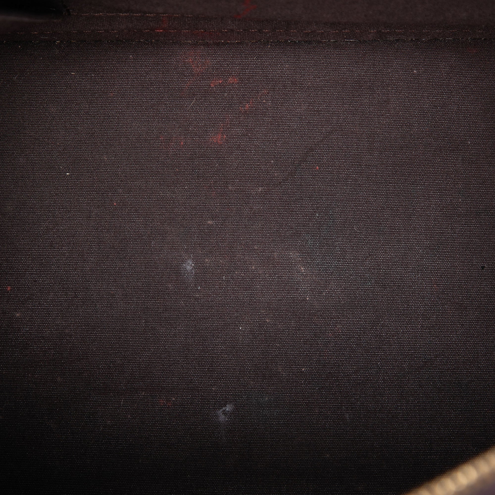 Monogram Vernis Alma PM - Image 4