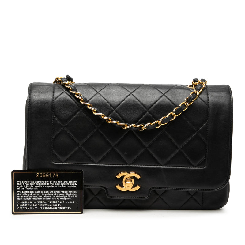 Medium Lambskin Diana Full Flap - Image 7