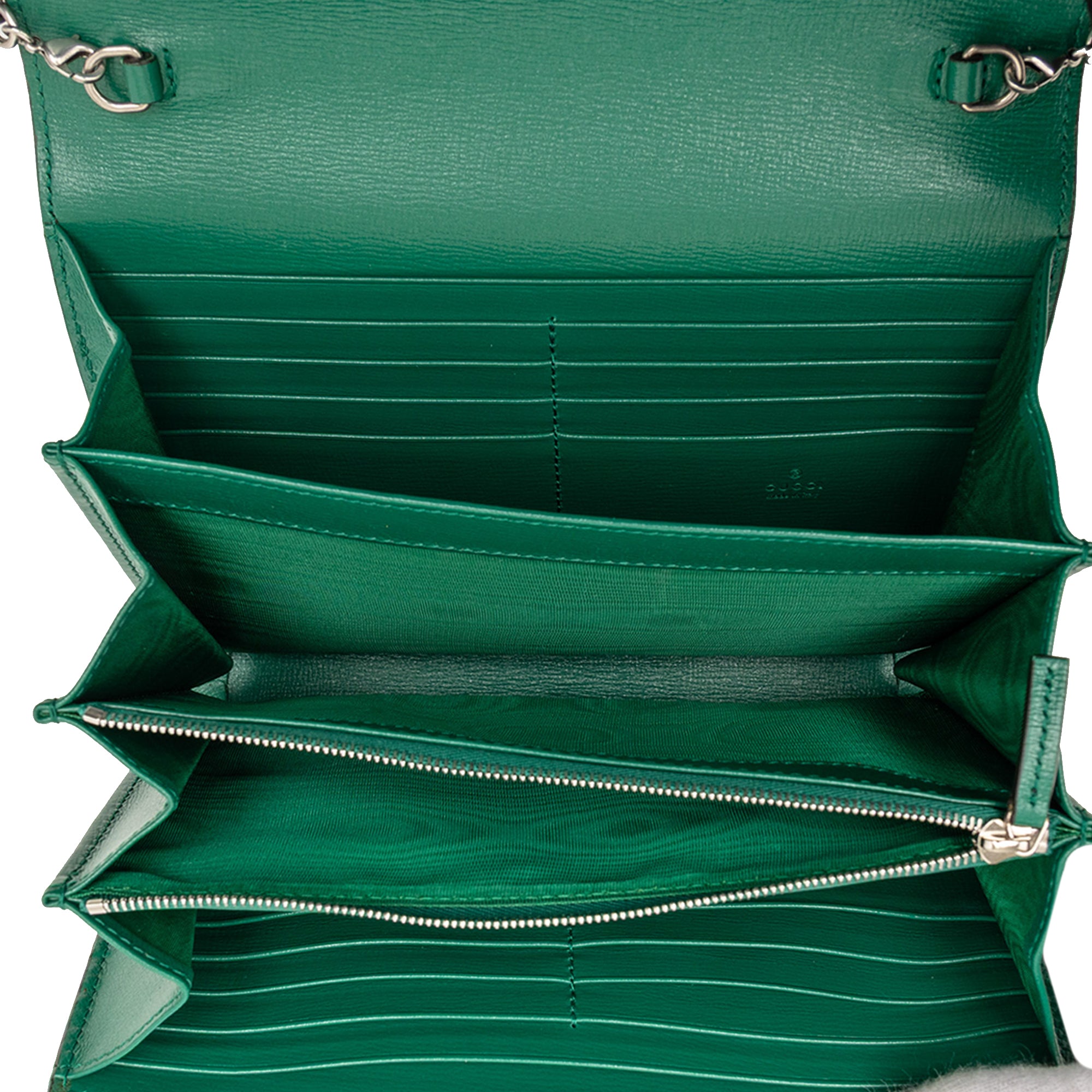 Bicolor Calfskin Dionysus Wallet on Chain - Image 4