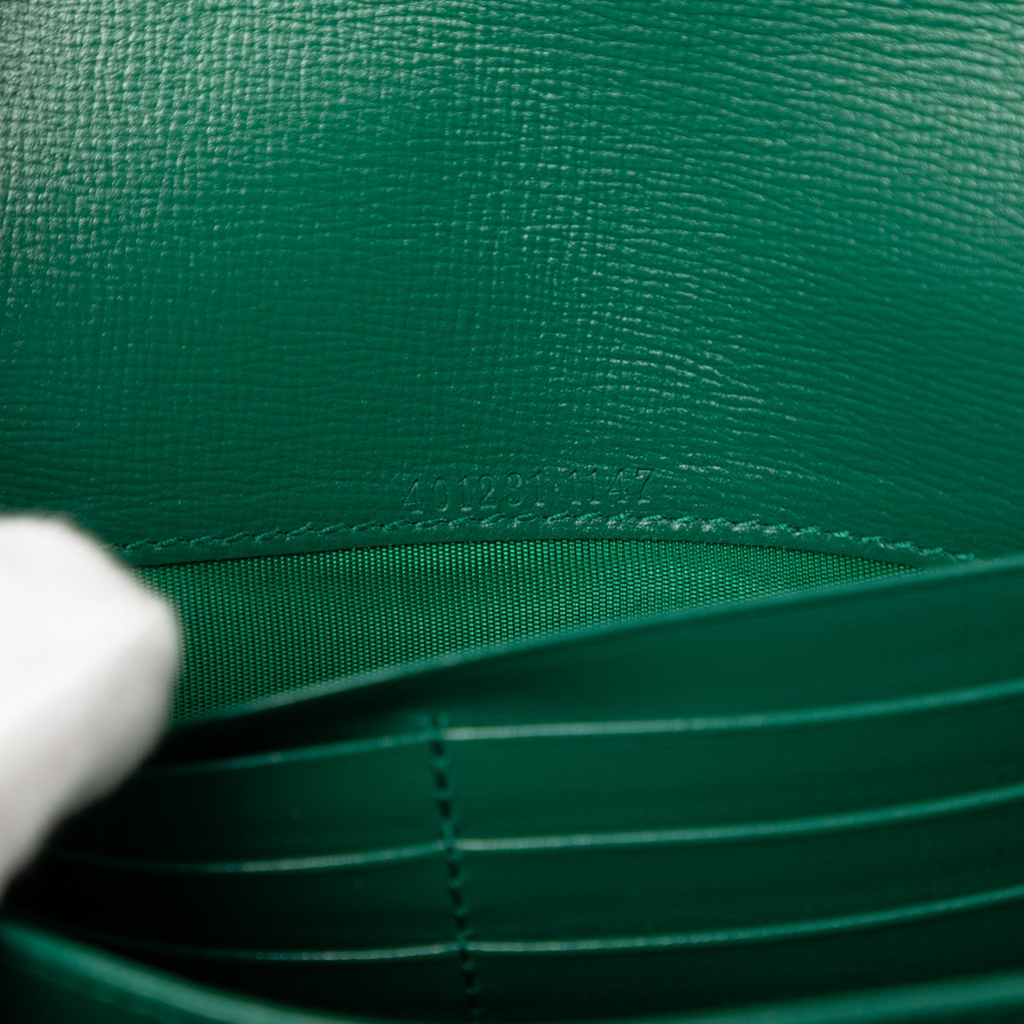 Bicolor Calfskin Dionysus Wallet on Chain - Image 6