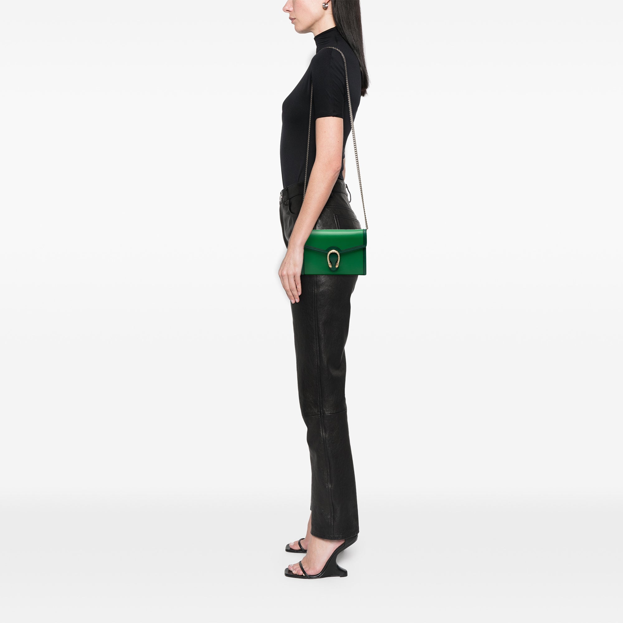 Bicolor Calfskin Dionysus Wallet on Chain - Image 7