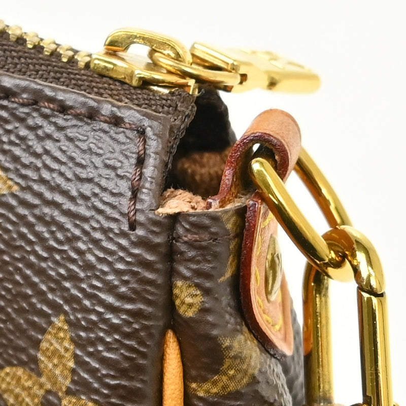 Louis Vuitton Eva Monogram Canvas Brown Bag
