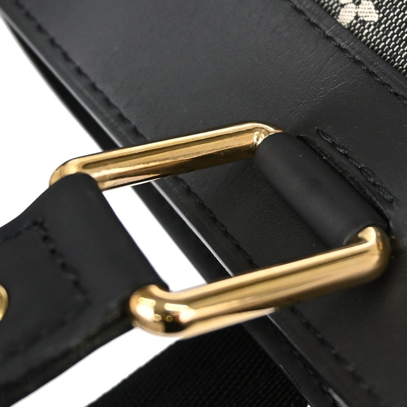 Louis Vuitton Lucille Mini Lin Black Canvas Bag