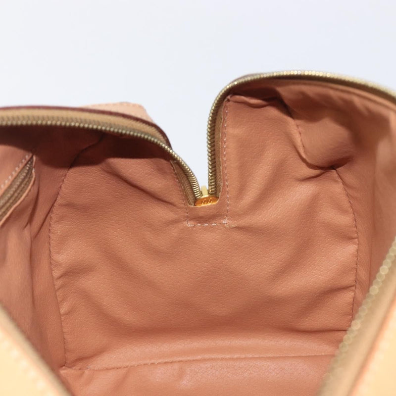 Celine Handbag Canvas Brown Bag