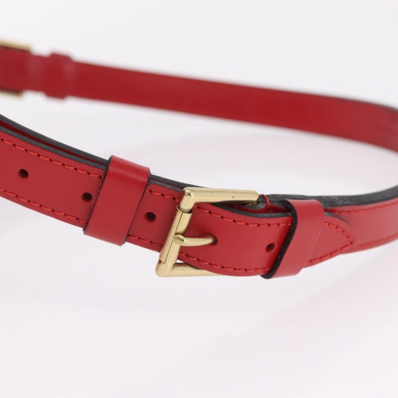 Louis Vuitton Petit Noe Nm Epi Leather Red Bag
