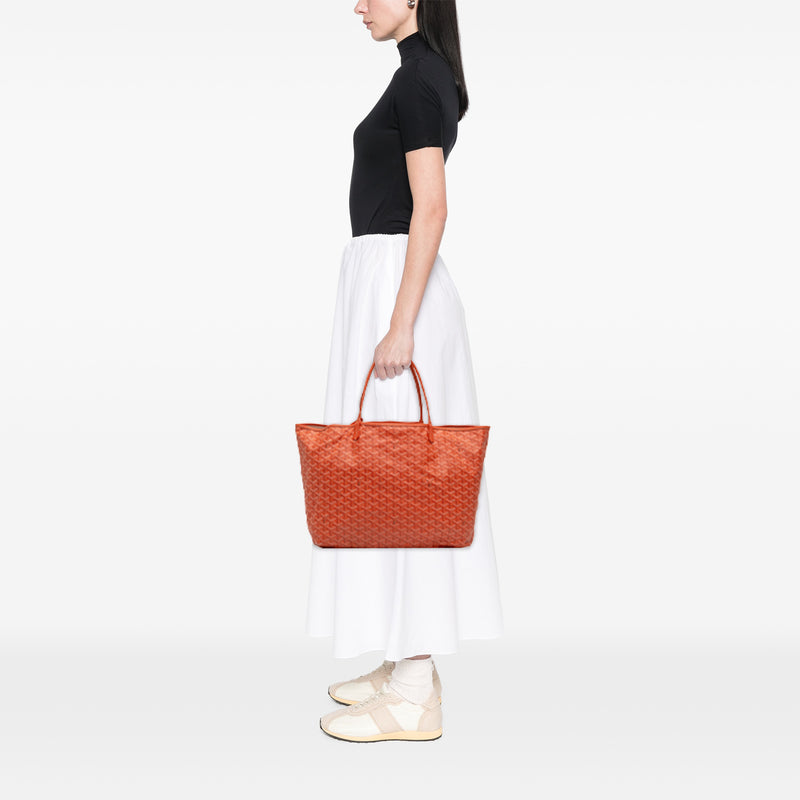 Goyardine Saint Louis PM - Image 10