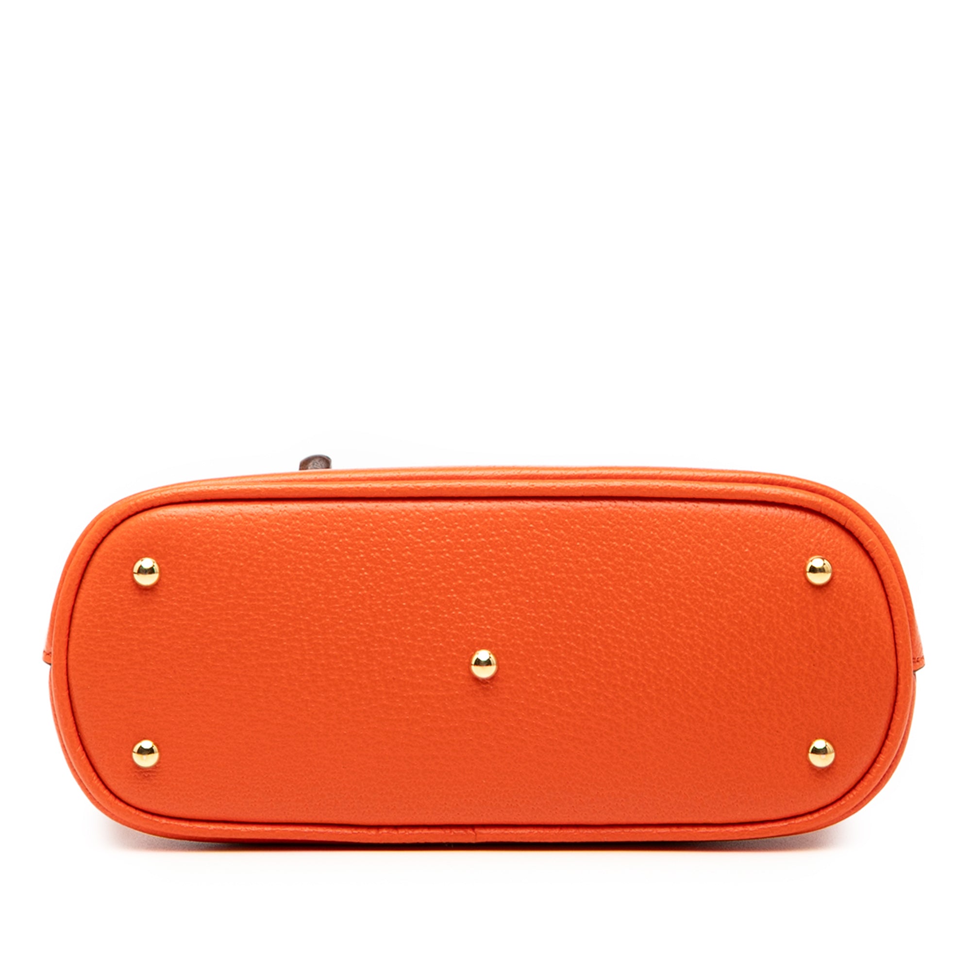 Mini Dollar Calfskin Bamboo Diana Dome Satchel - Image 3