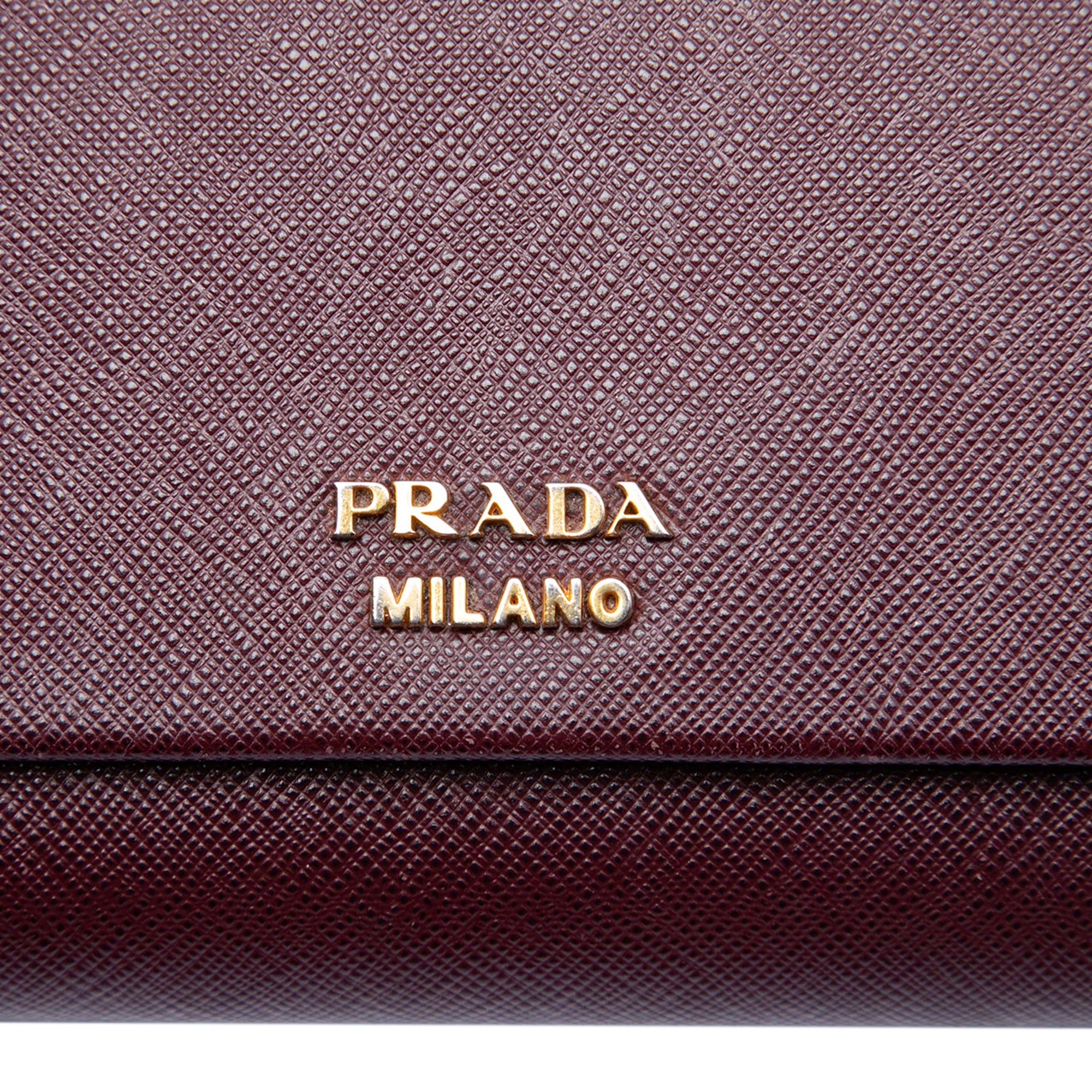 Saffiano and City Calf Bibliotheque Clutch with Chain - Image 5