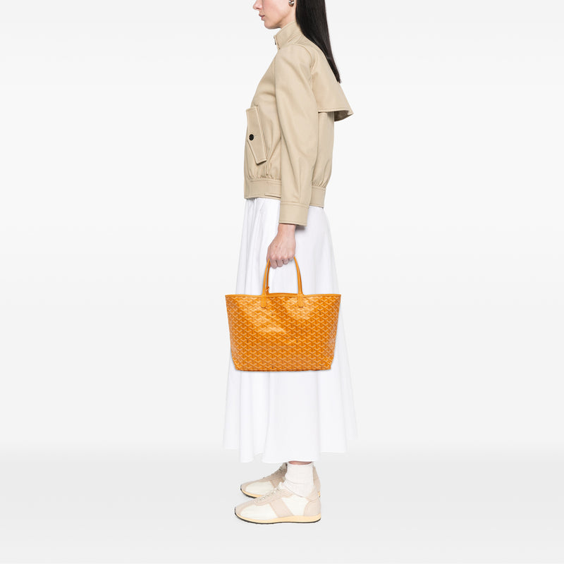 Goyardine Saint Louis PM - Image 11
