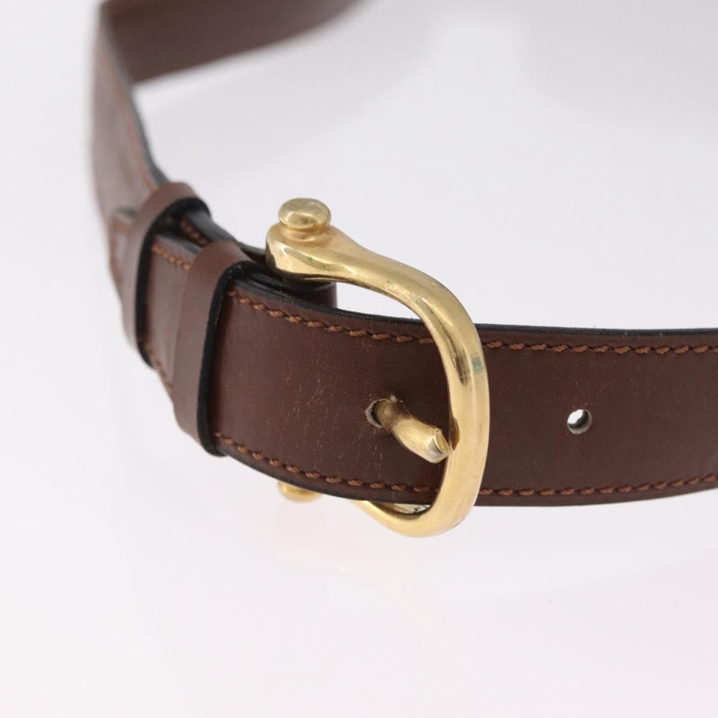 Celine Triomphe Leather Brown Bag