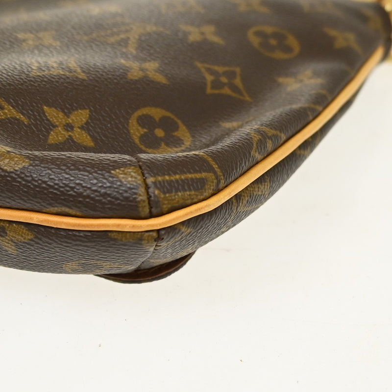 Louis Vuitton Musette Salsa Monogram Canvas Brown Bag