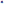         Multicolor Viscose Shorts