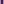         Multicolor Viscose Shorts